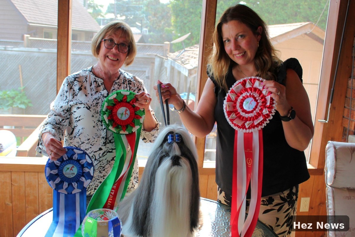 Sudbury Shih Tzu Bowie Shines at World Dog Show