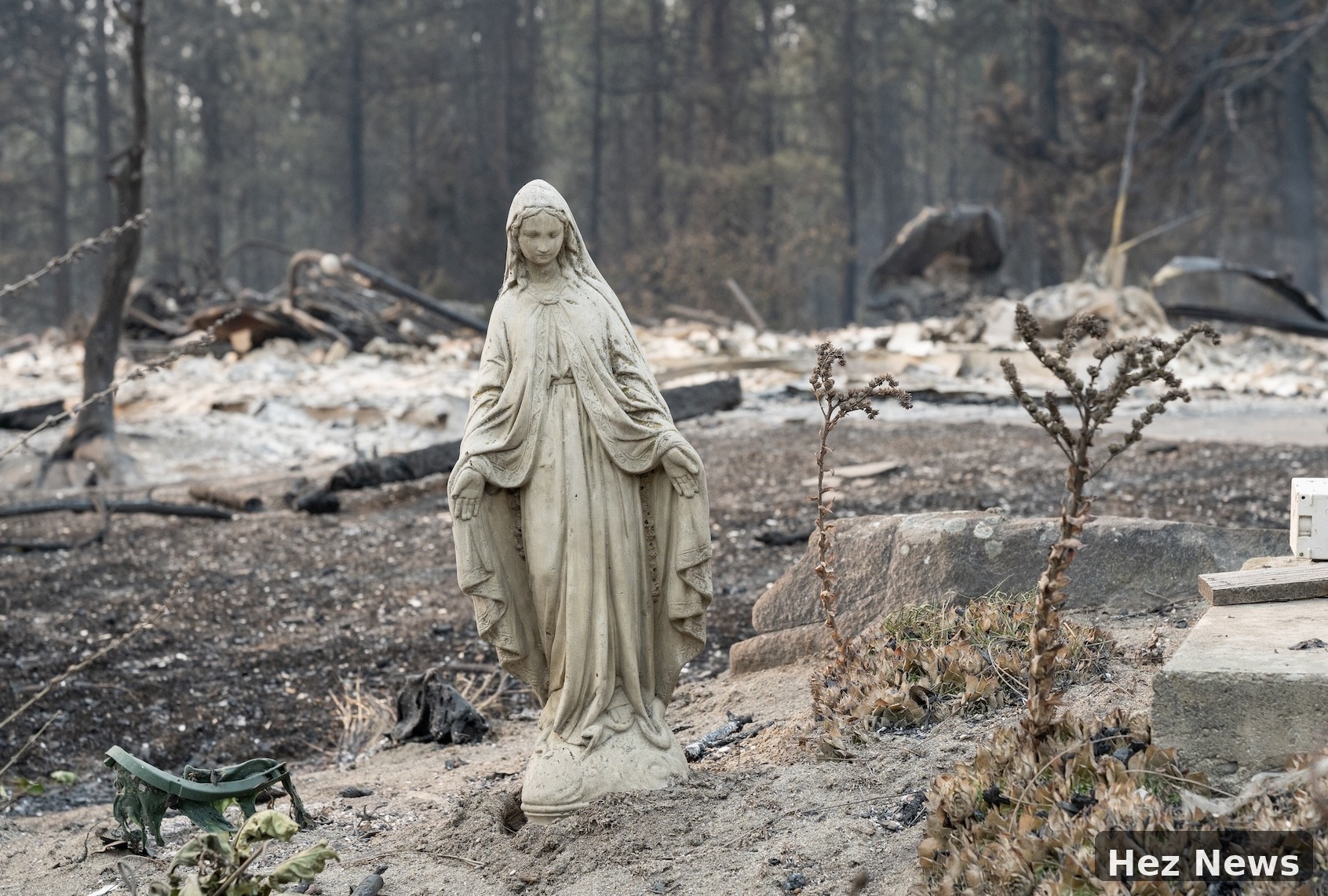 Spokane Wildfires Highlight Global Climate Crisis