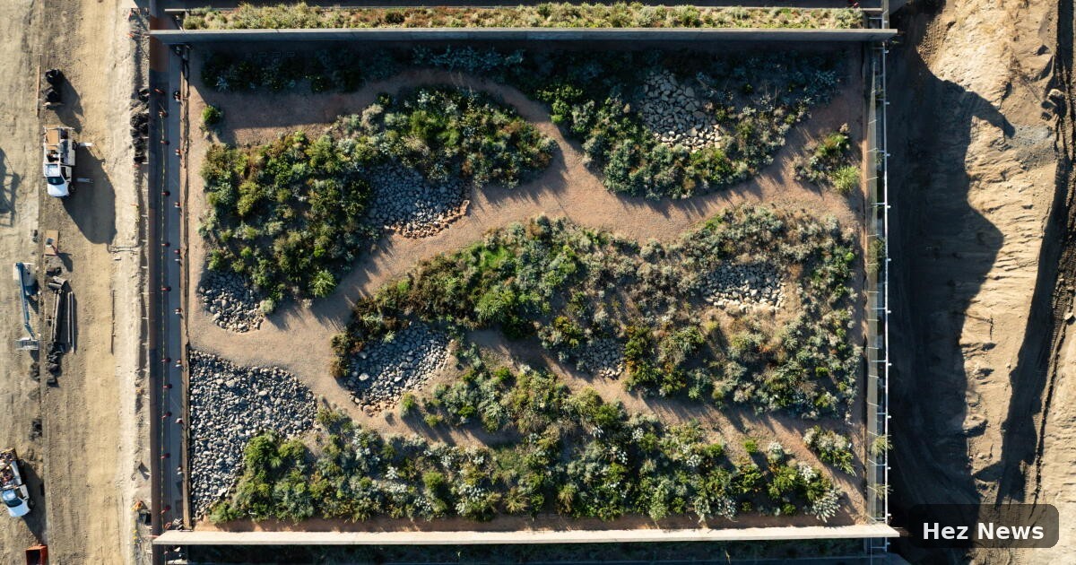 World's Largest Wildlife Crossing Nears Completion