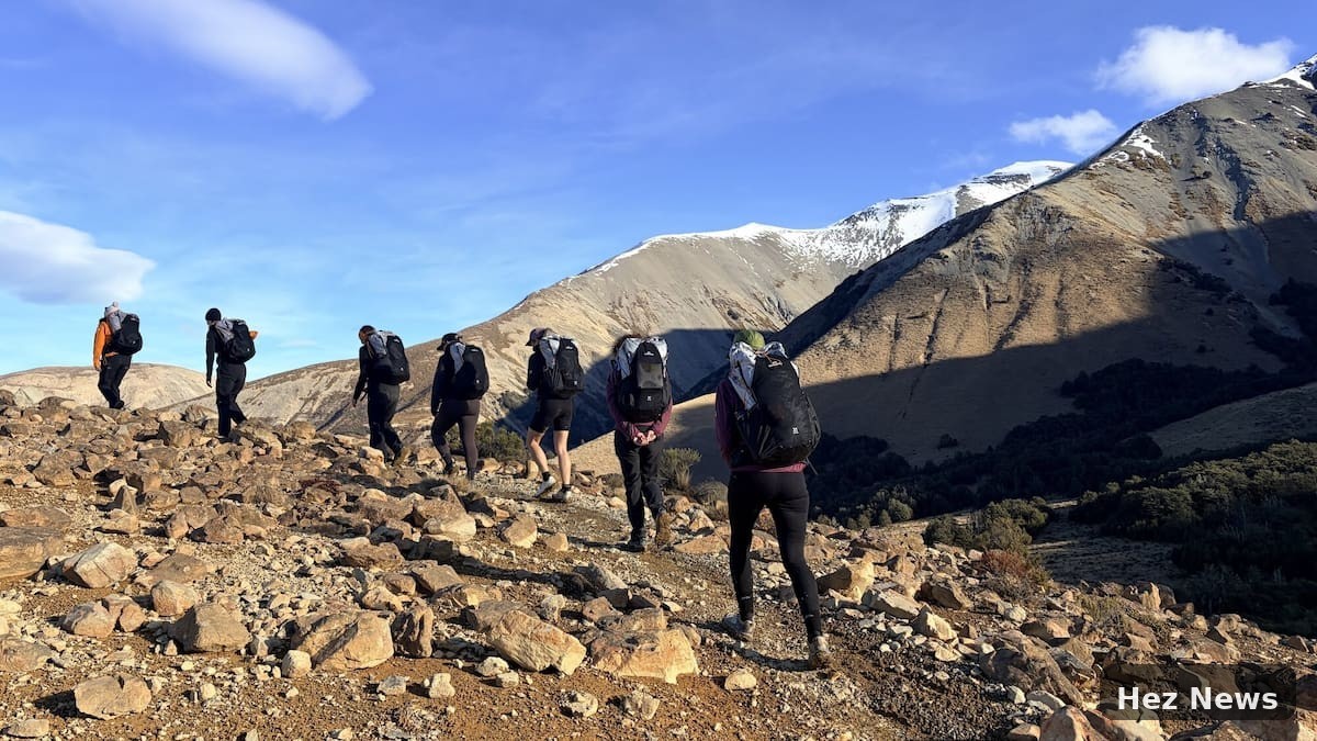Exploring Hogs Back Track: A Scenic Adventure Near Christchurch
