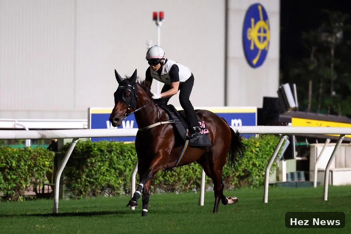 Ka Ying Rising Prepares for The Everest Race in Australia