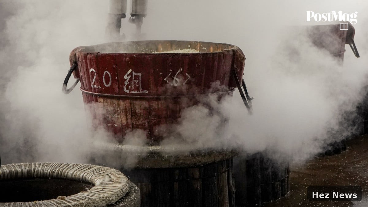 Dongqu Elevates Shaoxing Wine to Luxury Status
