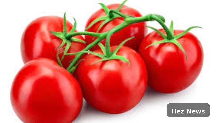 Tomato Jos Raises $2.5M to Enhance Climate-Smart Farming