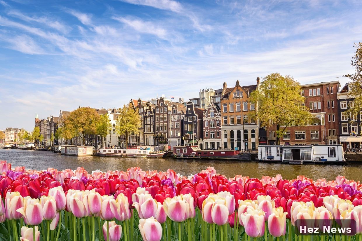 Discover Winter Wonders and Spring Delights