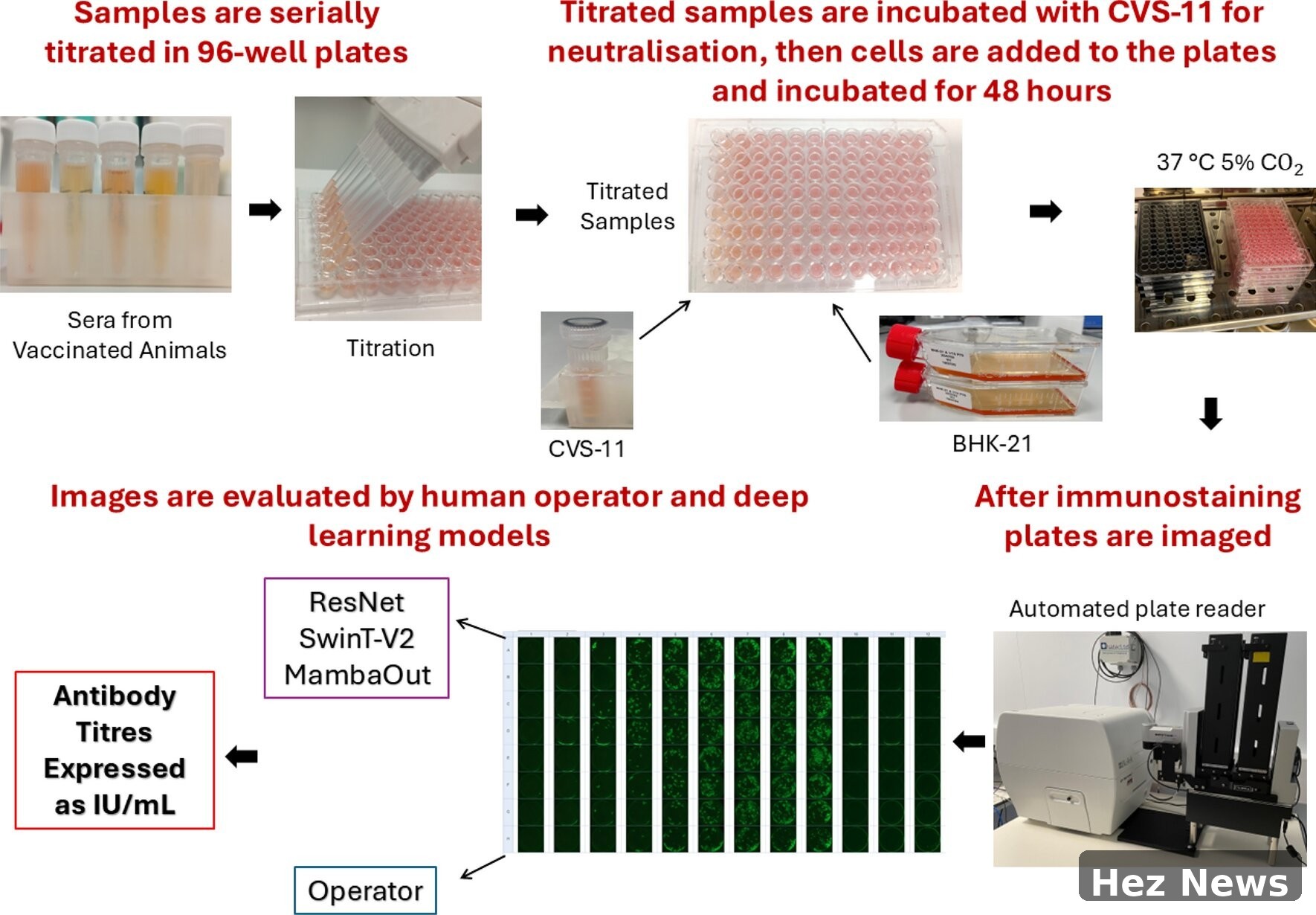 AI Revolutionizes Rabies Testing for Global Health