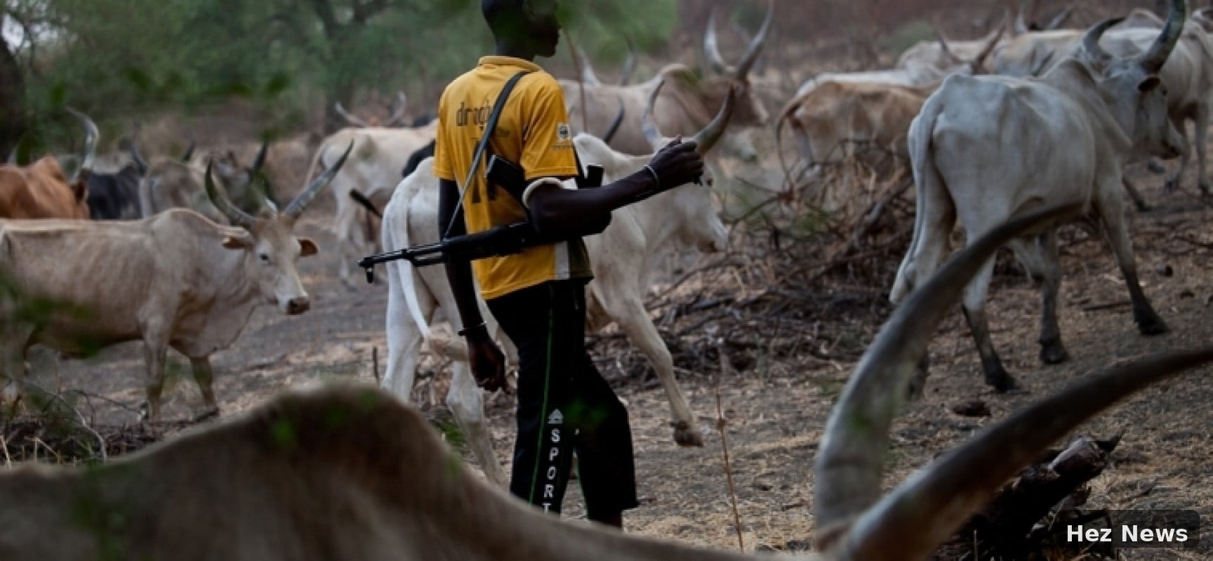 30 Missing, Many Feared Dead in Benue Herdsmen Attack