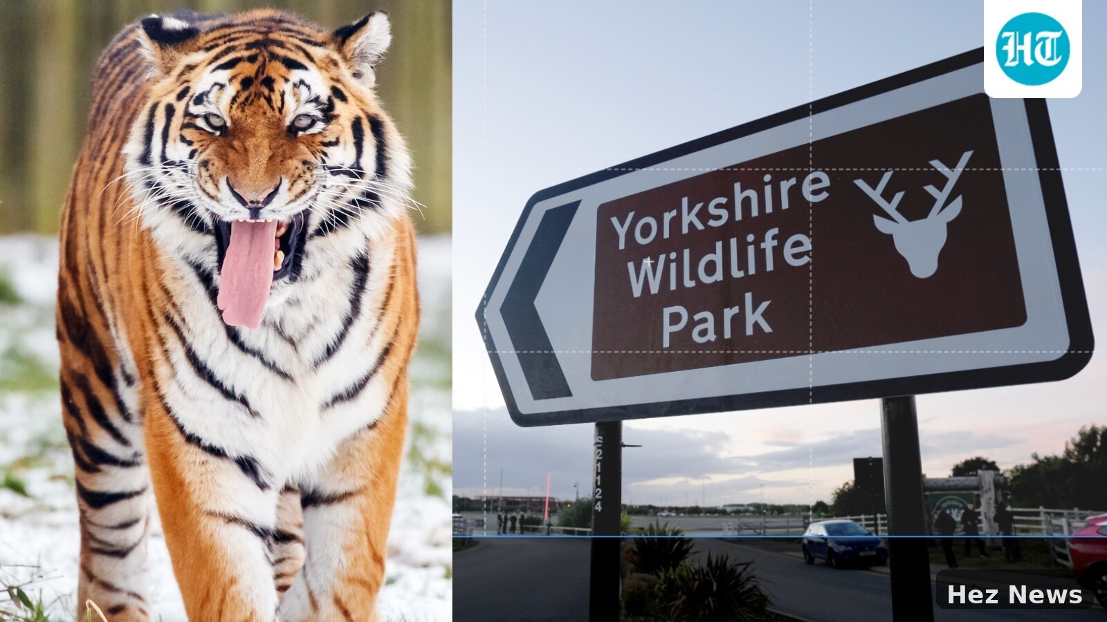 Man Killed by Tiger in England Wildlife Park Incident