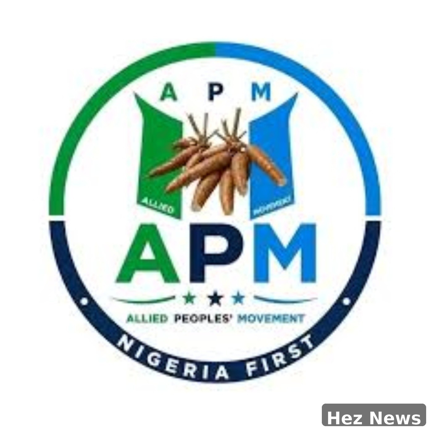 Ex-Oyo LG Chairman Oladeji Joins APM from APC