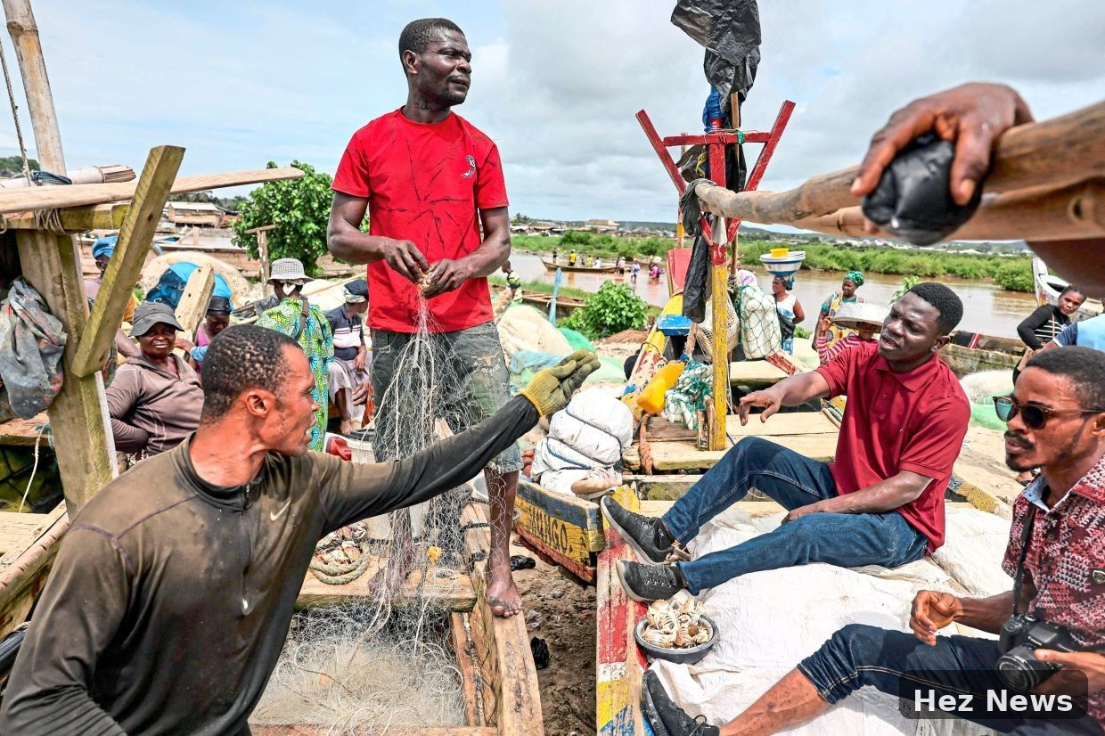 Efforts to Protect Ghana's Endangered Guitarfish