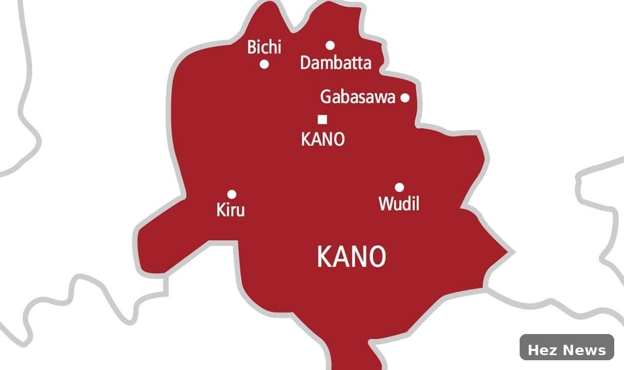 NFSS Responds to Rabid Dog Attacks in Kano
