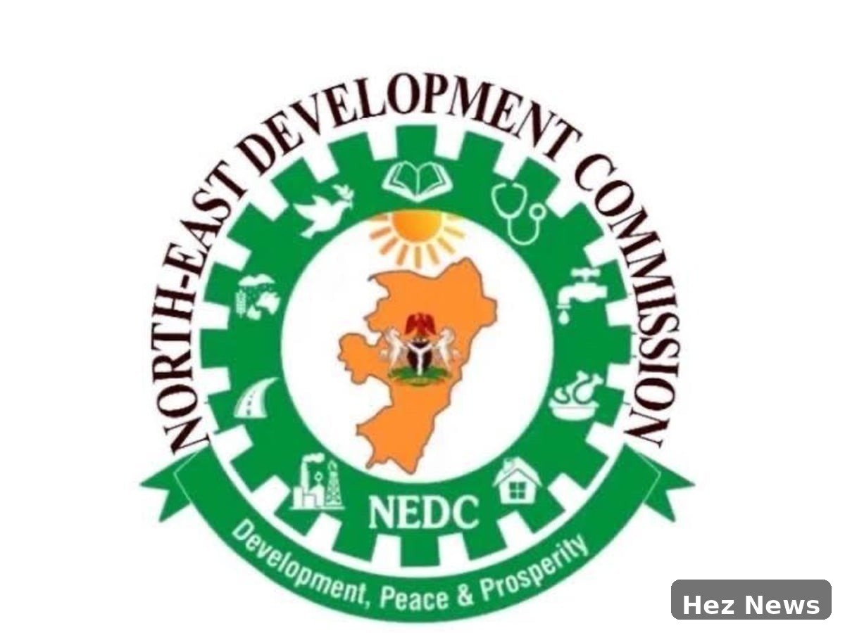 NEDC Launches N100bn Solar and Railway Projects for Northeast