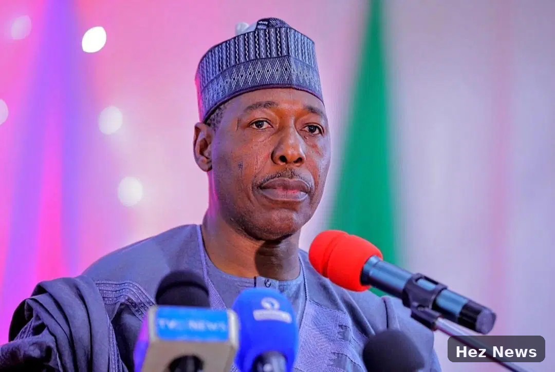 Zulum Advocates APC for Federal Support in Borno