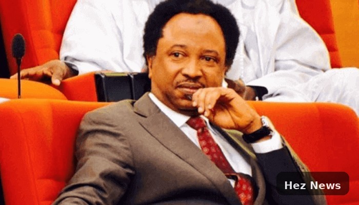 Shehu Sani Criticizes PDP Faction for Involving Jonathan