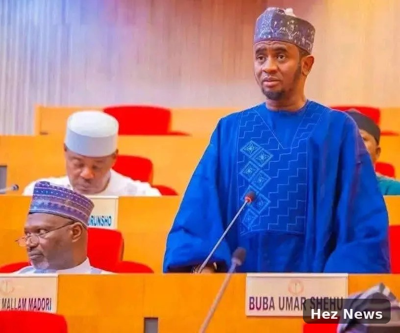 Bauchi Senator's Banditry Claims Spark DSS Inquiry Calls