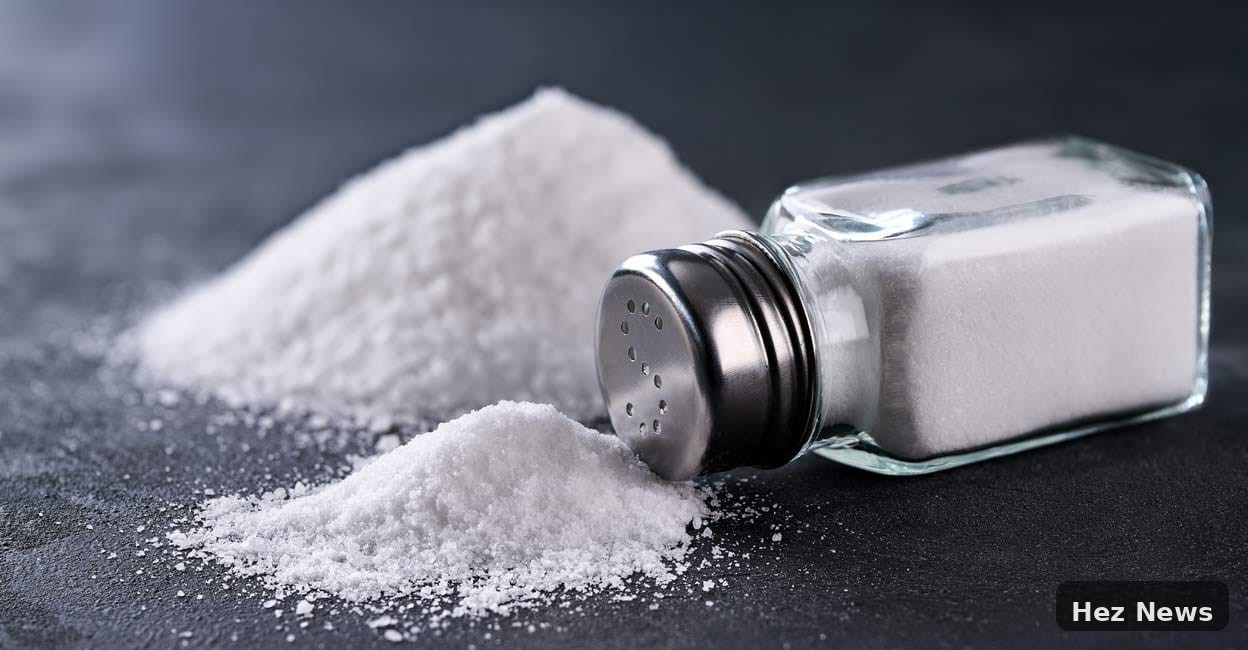 Why a Book on Salt is Captivating Readers Worldwide