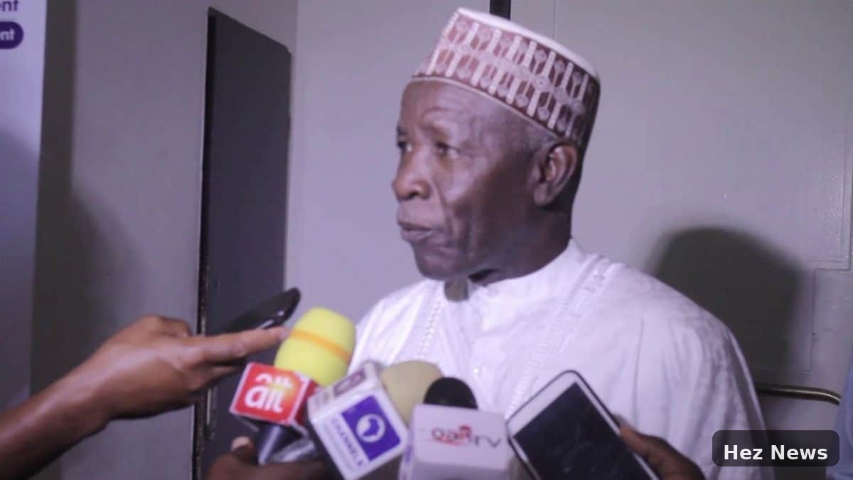 Galadima Accuses Fayemi, Others of Plotting Against Tinubu