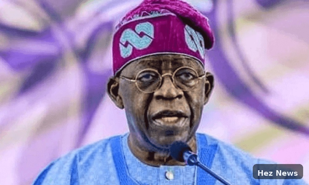 Tinubu Discusses Investments with Bolloré in France