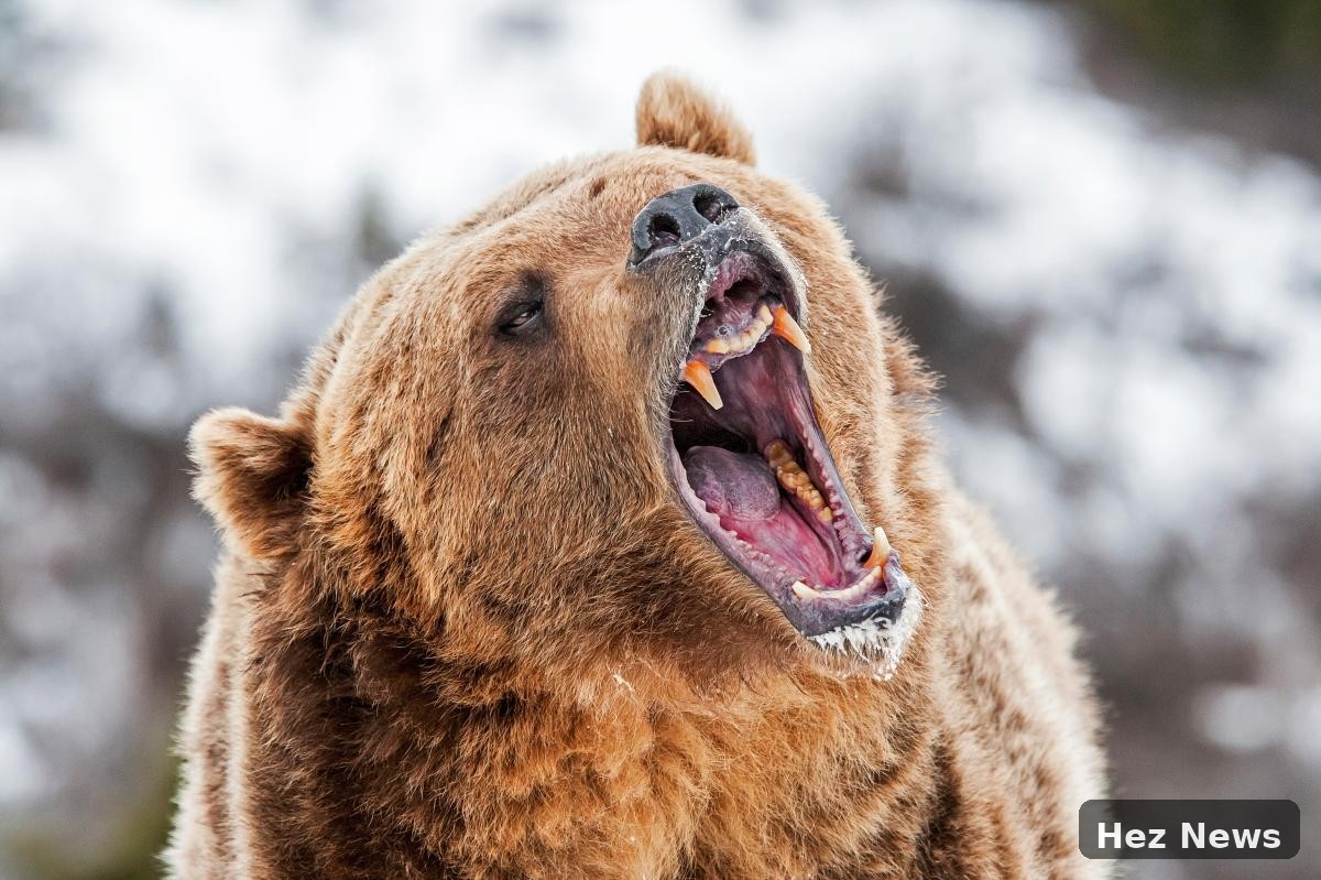 Forrest Galante: Adventurer Confronts Nature's Fiercest Creatures