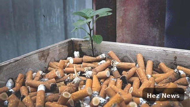Experts Warn: Children 9x More Vulnerable to New Tobacco Products