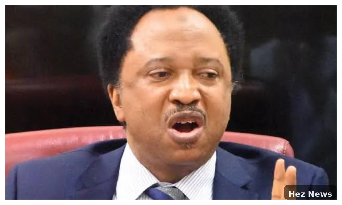 Shehu Sani: Obasanjo and Atiku's Feud Will End in Death