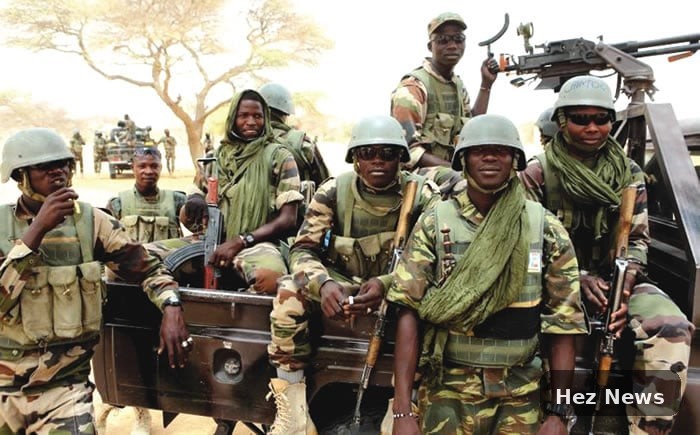 Troops Recover 11 Cattle from Terrorists in Kaduna