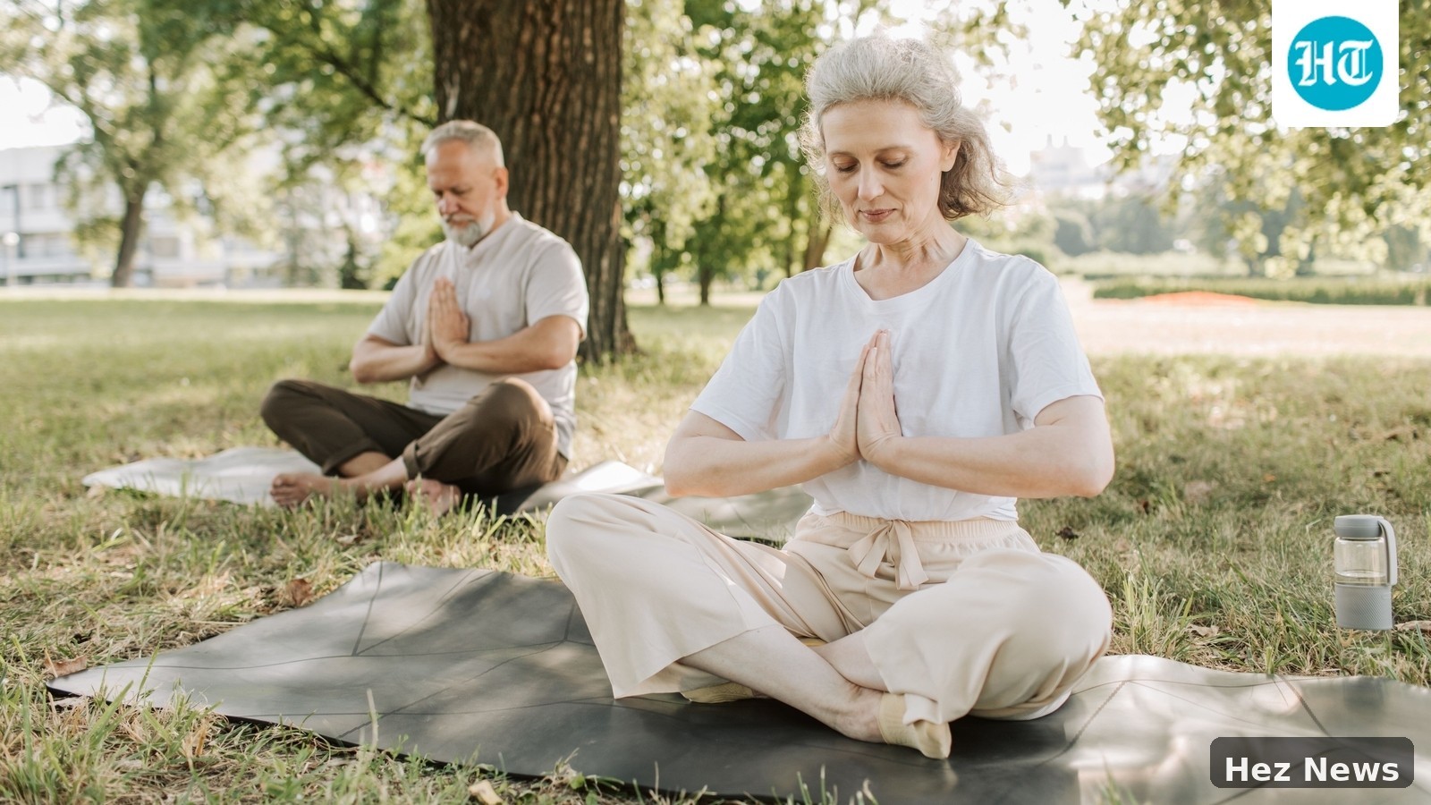 World Mental Health Day 2026: Harvard's Stress Relief Tips