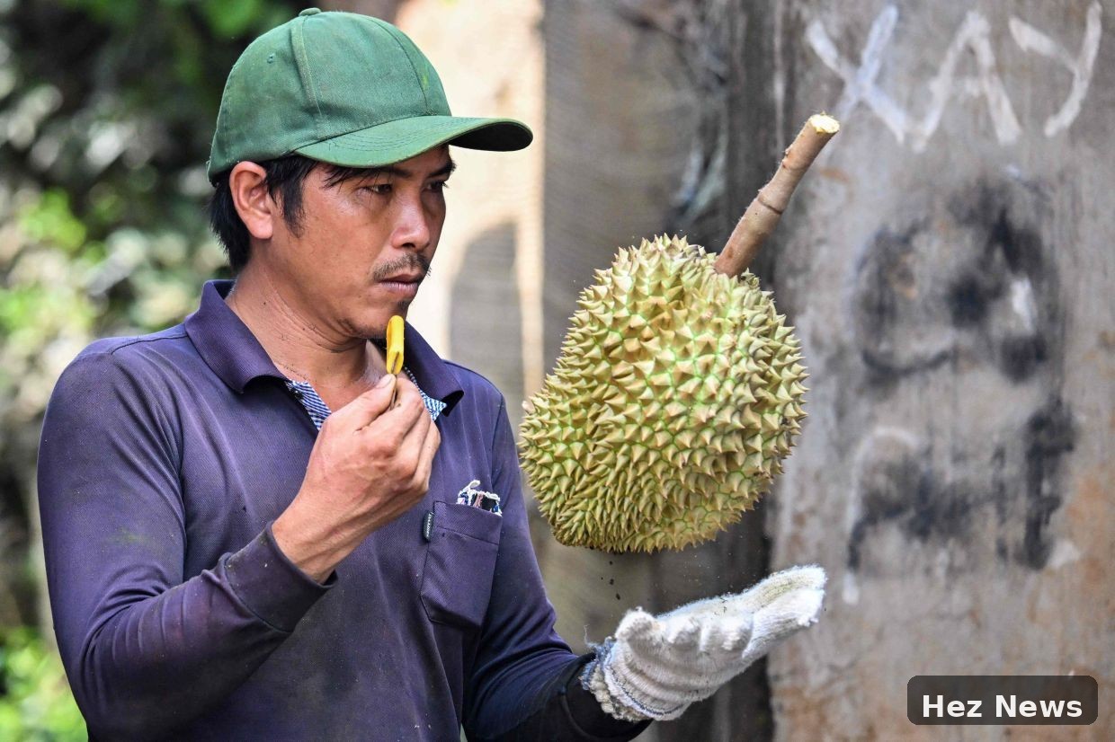 Vietnamese Farmers Shift from Coffee to Durian for Profit