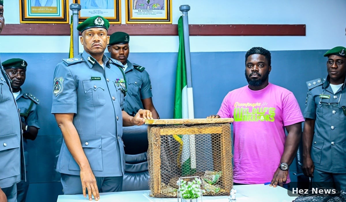 Customs Seize Three Live Pangolins in Ogun State