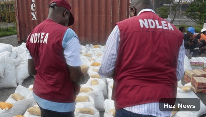 Kano's Drug Crackdown Leads to Increased Convictions
