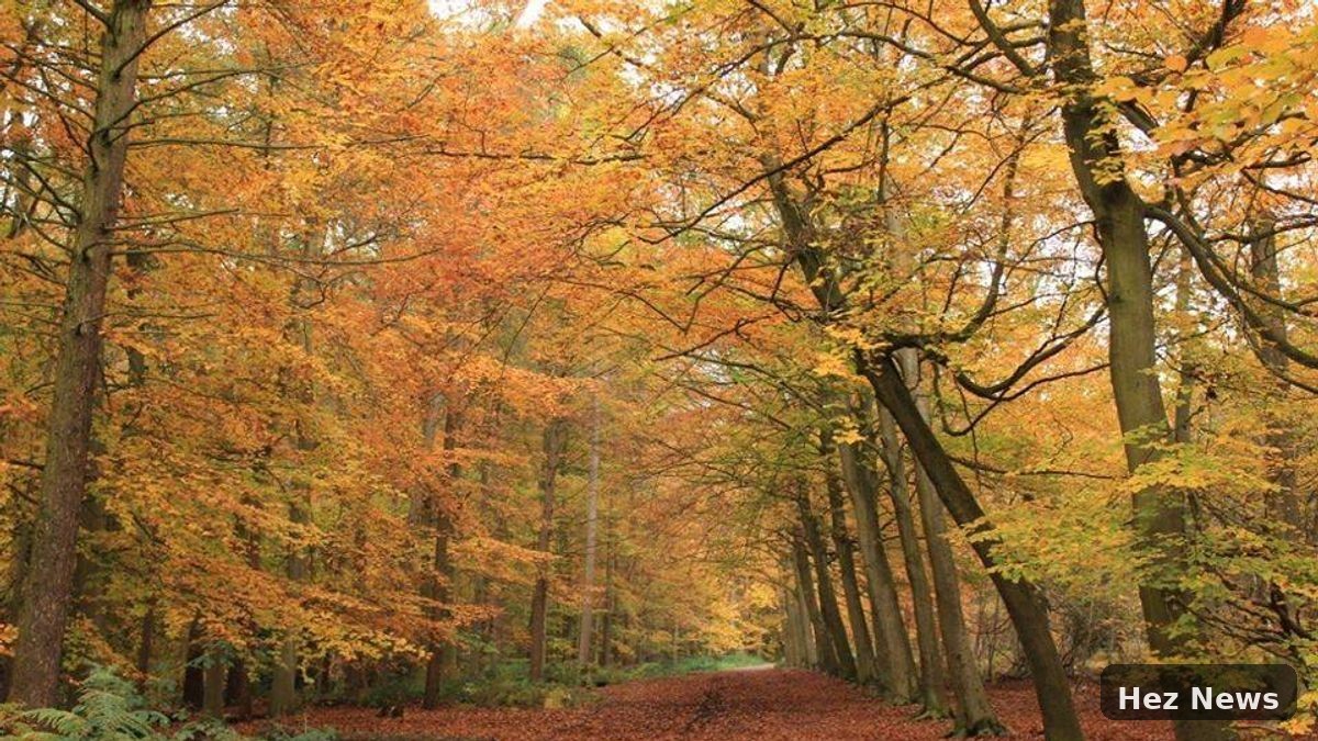 Discover Essex's Gruffalo Trail: A Perfect Family Escape