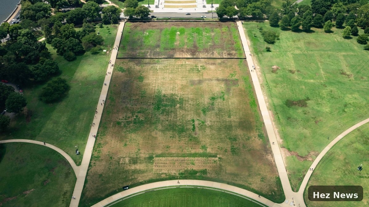 Trump Blames Vandals for Damaged Grass Post July 4 Event