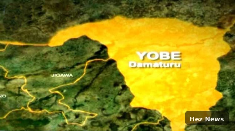 14-Year-Old Drowns in Yobe River, Another Child Missing