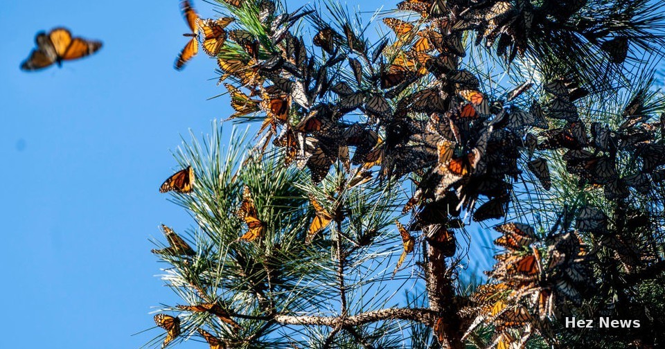 Daily Wonders of Nature Unveiled